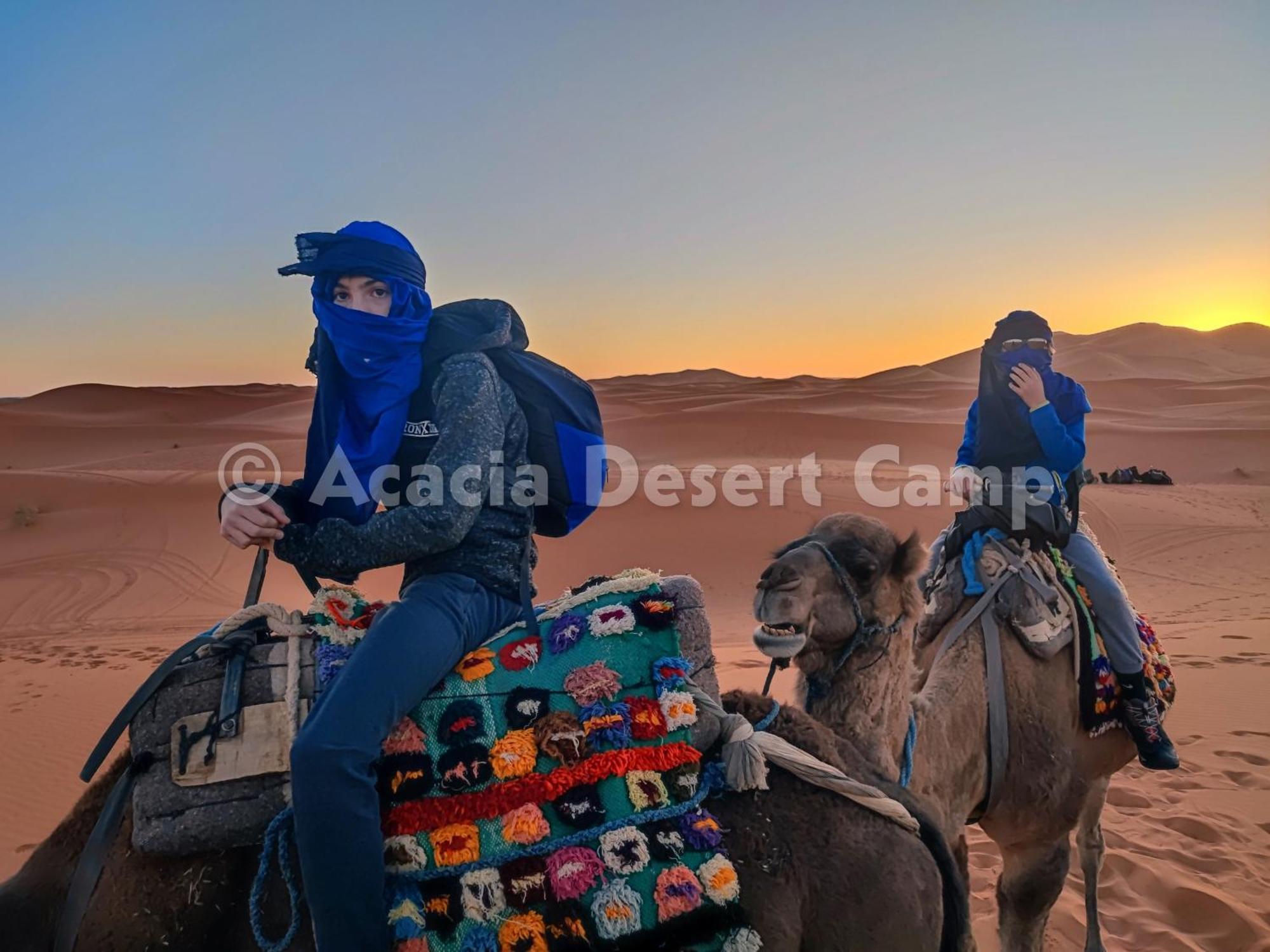 Acacia Desert Camp 호텔 메르주가 외부 사진