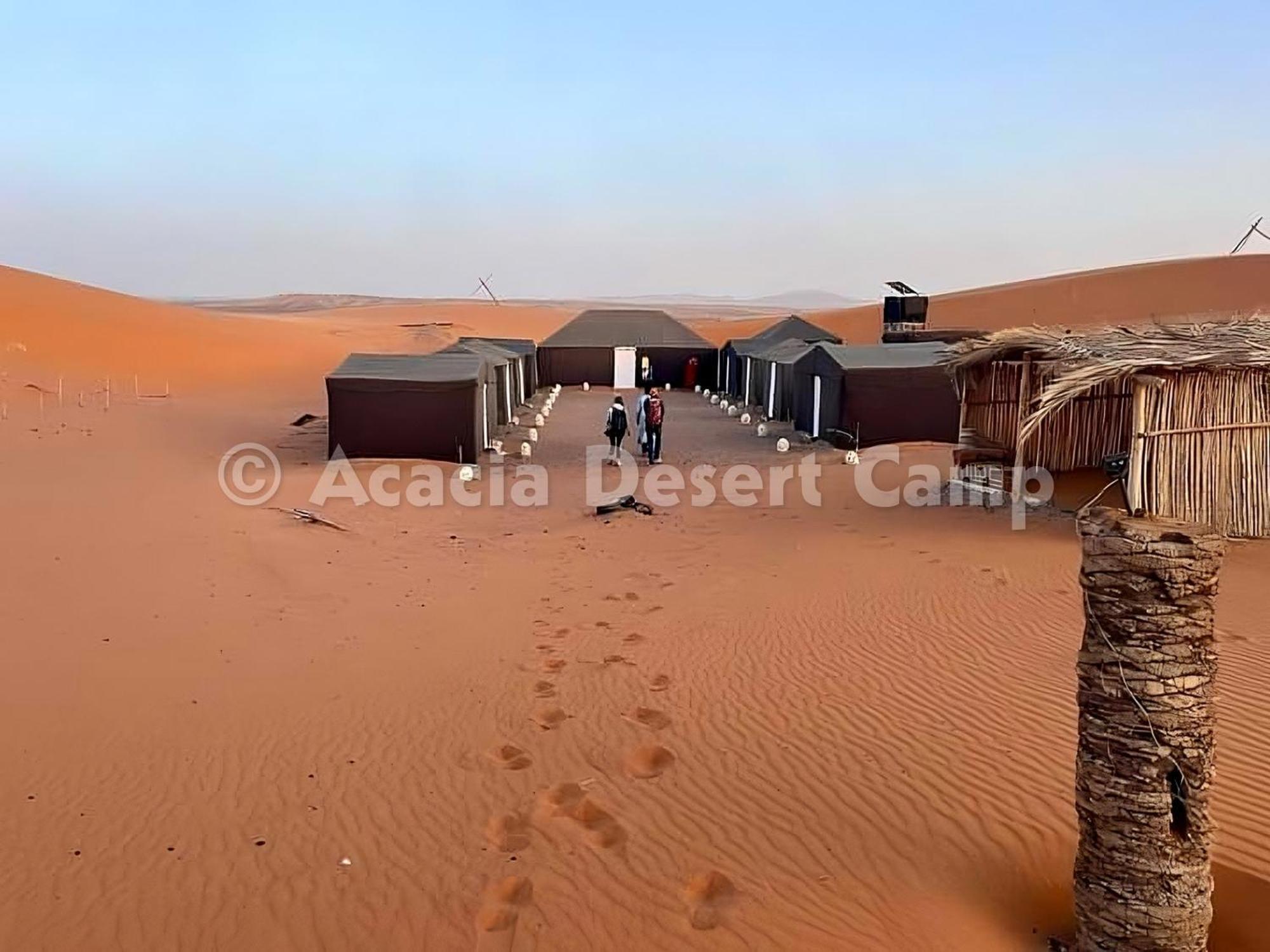 Acacia Desert Camp 호텔 메르주가 외부 사진