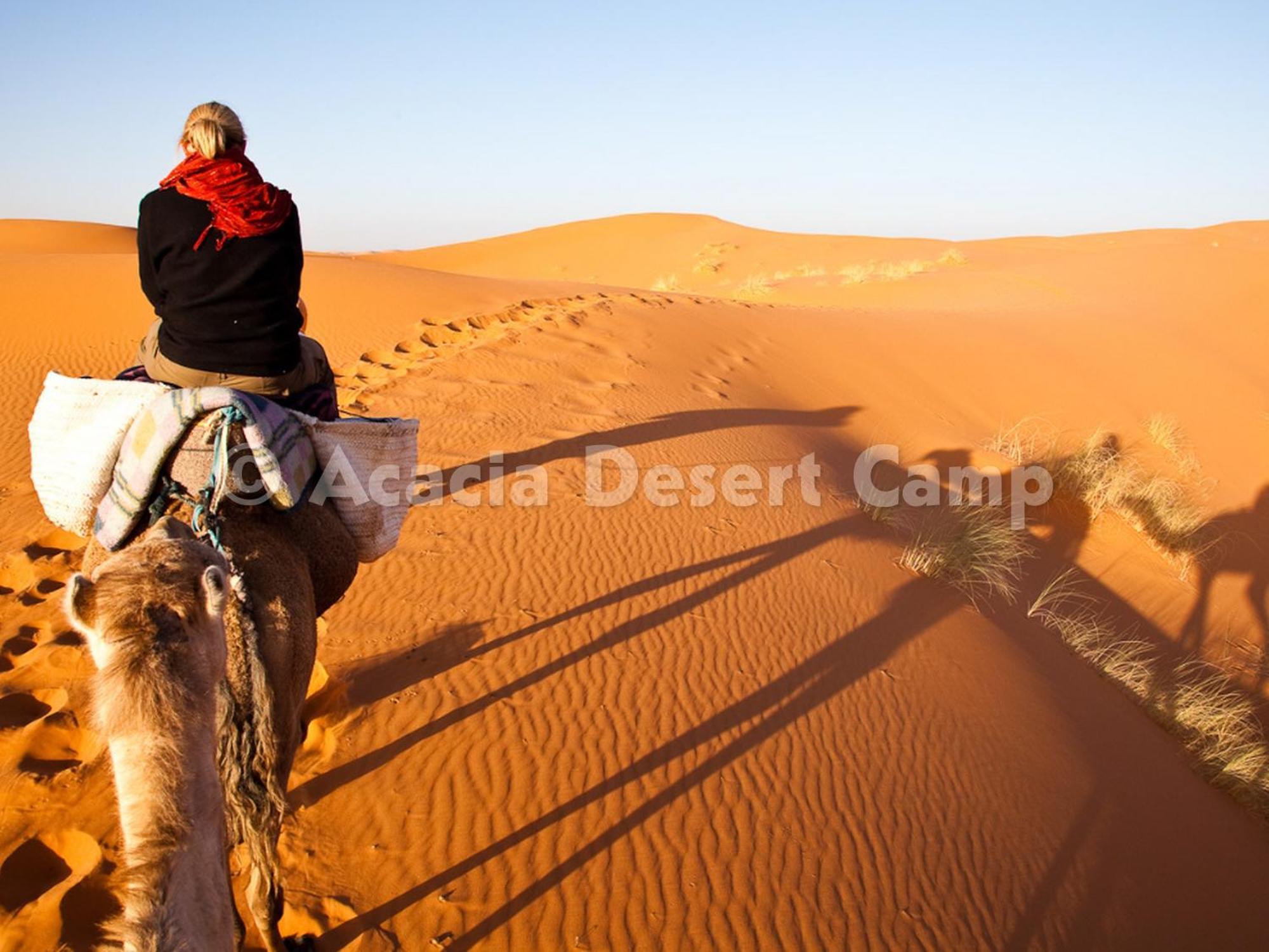 Acacia Desert Camp 호텔 메르주가 외부 사진