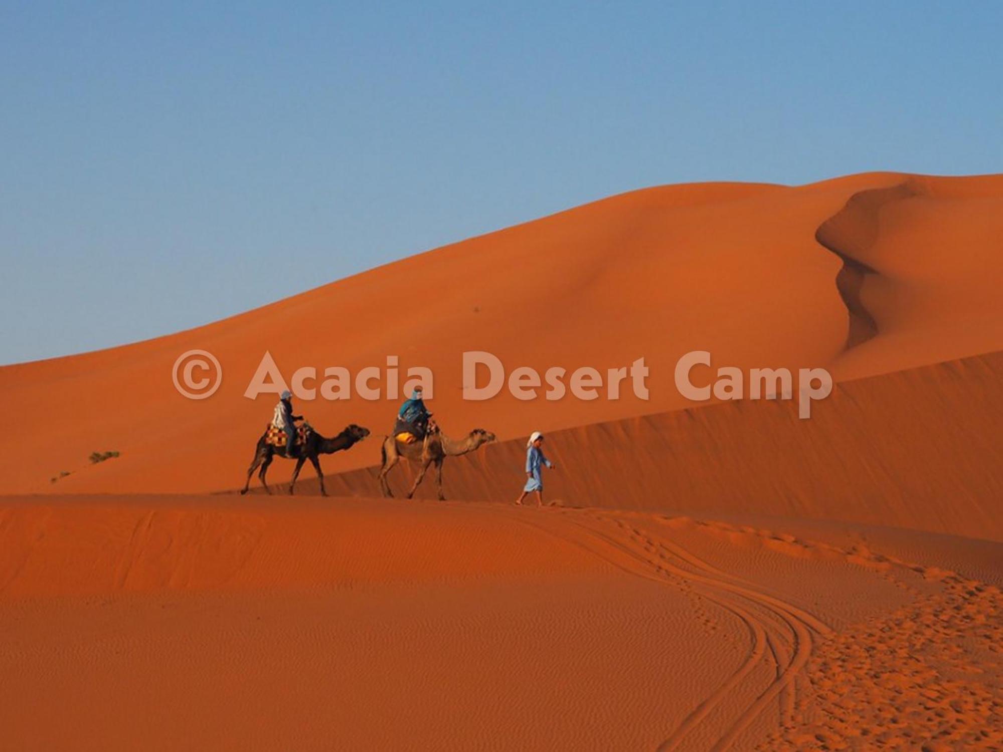 Acacia Desert Camp 호텔 메르주가 외부 사진